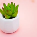 homes revamped declutter home service